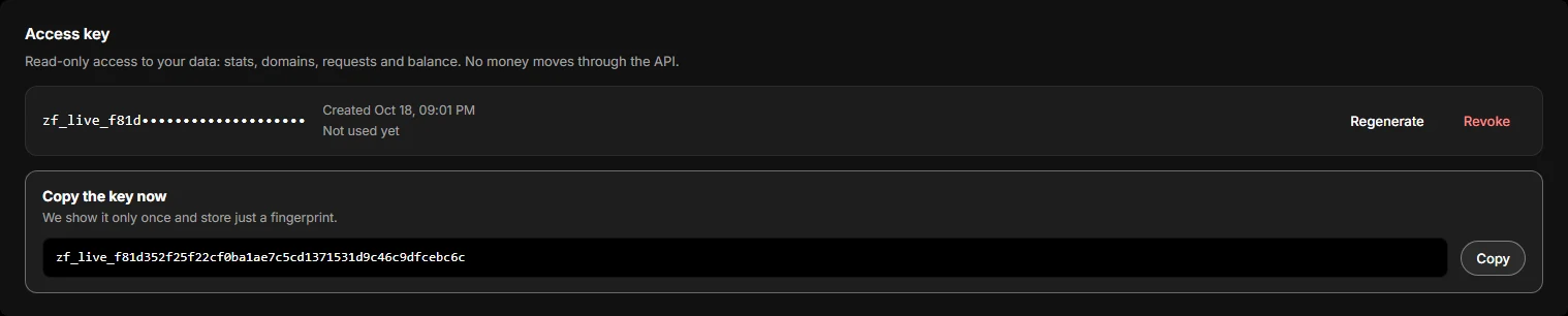 The API tab: the access key and the “Copy the key now” block